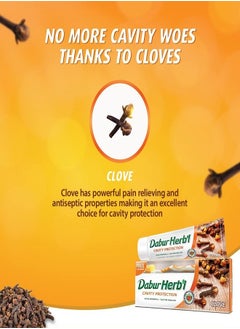 Dabur Herb'l Clove Cavity Protection Toothpaste With Toothbrush Multicolour 140 grams  - Image 3