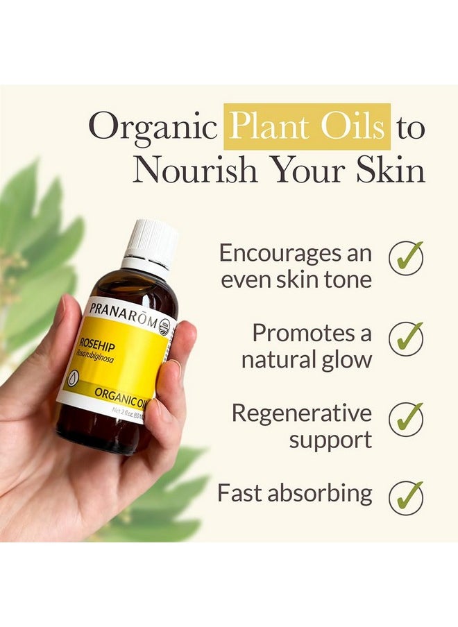 PRANAROM - Usda Certified Organic Coldpressed Rosehip Virgin Plant Oil 2 Fl Oz Glass Bottle For Antiaging Helps Acne Scar Massaging Face Hair & Skin Unisex - Image 1