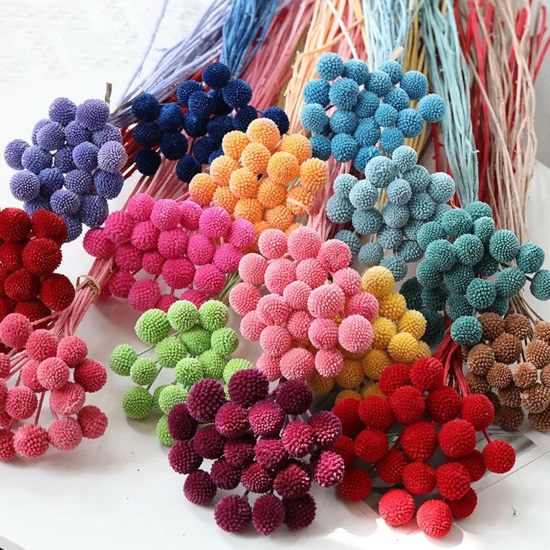 Bluejw Hot Sell Dried Craspedia Golden Ball Flowers – Natural Dried Plants for Wedding Bouquets, Vintage Home Decor & Floral Arrangements - Image 3