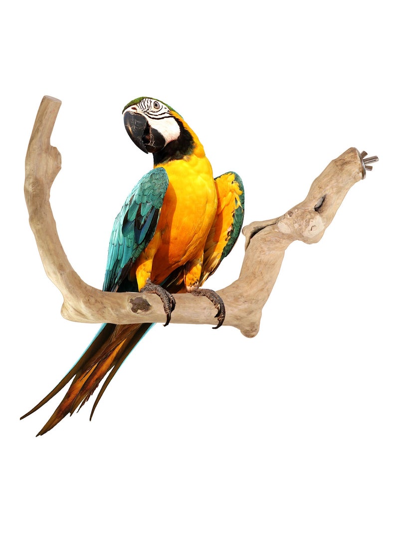 CHEWY BEAK Wooden Parrot Perch Stick for Large Birds & Parrots suitable for all bird cages - Image 1