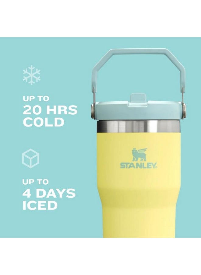Stanley - Stanley IceFlow Flip Straw Tumbler with Handle 20 oz | Twist On Lid and Flip Up Straw | Leak Resistant Water Bottle | Insulated Stainless Steel |BPA-Free | Charcoal - Image 1