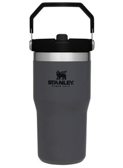 Stanley IceFlow Flip Straw Tumbler with Handle 20 oz | Twist On Lid and Flip Up Straw | Leak Resistant Water Bottle | Insulated Stainless Steel |BPA-Free | Charcoal