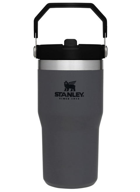 Stanley IceFlow Flip Straw Tumbler with Handle 20 oz | Twist On Lid and Flip Up Straw | Leak Resistant Water Bottle | Insulated Stainless Steel |BPA-Free | Charcoal