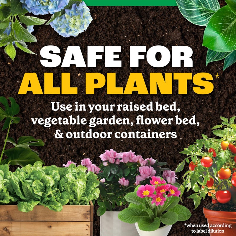 Pennington Easy-Dose All Purpose Plant Food 2-3-2 32oz - Image 4