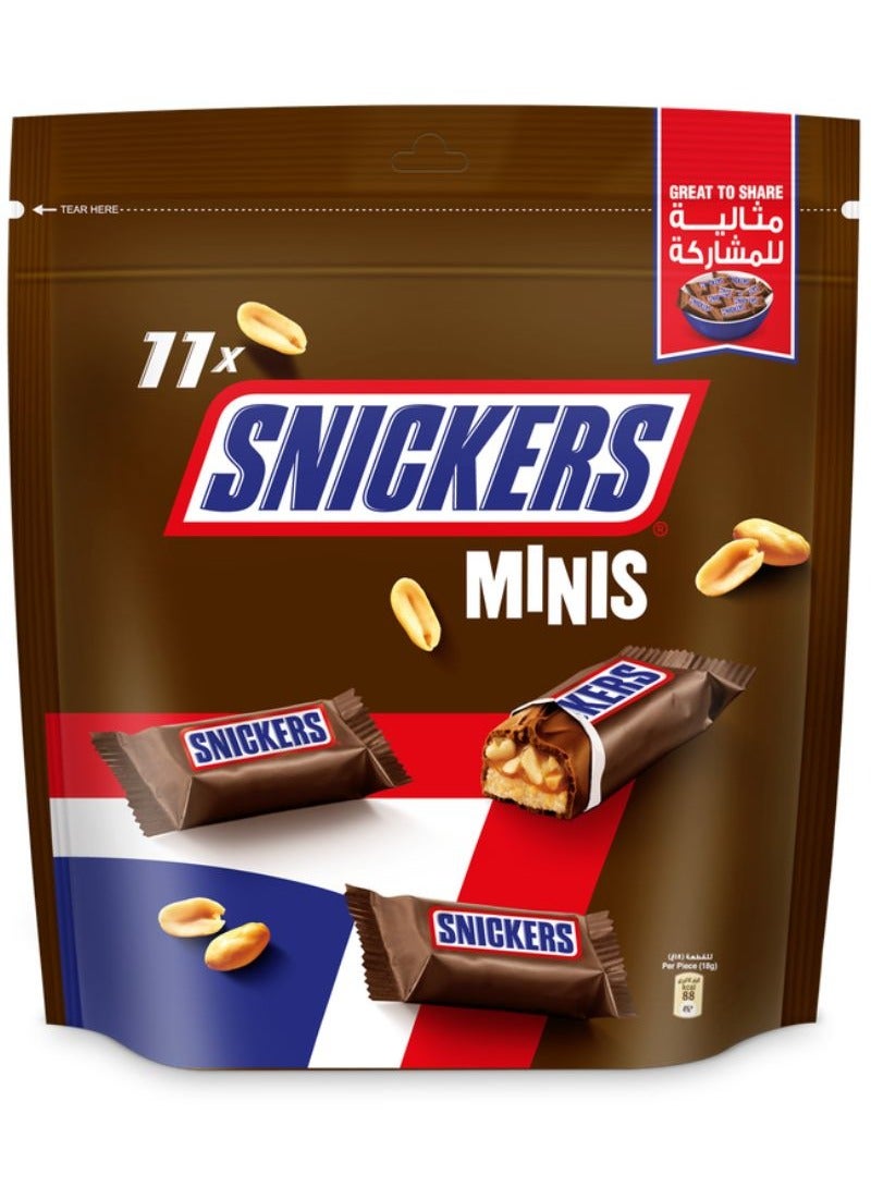 Chocolate Minis 198g