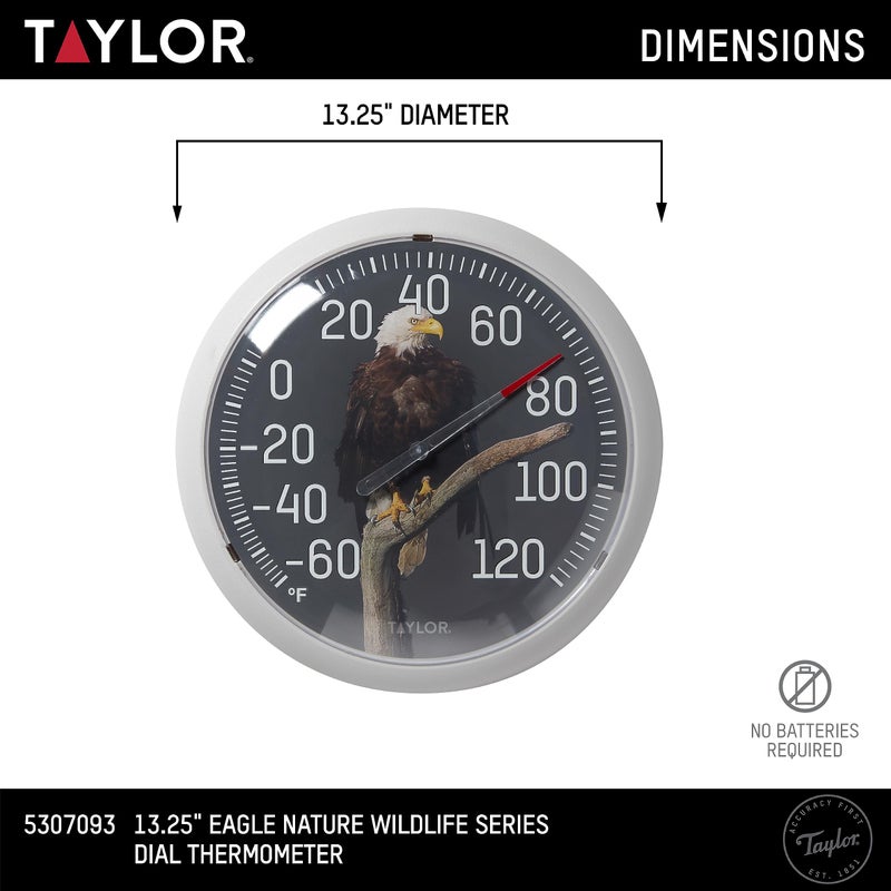 Taylor Nature Series Eagle Indoor Outdoor Dial Thermometer, Easy to Read Wall Decor for Patio, Pool, Yard, Garden or Garage, 13.25 Inch, Gray Bezel - Image 4