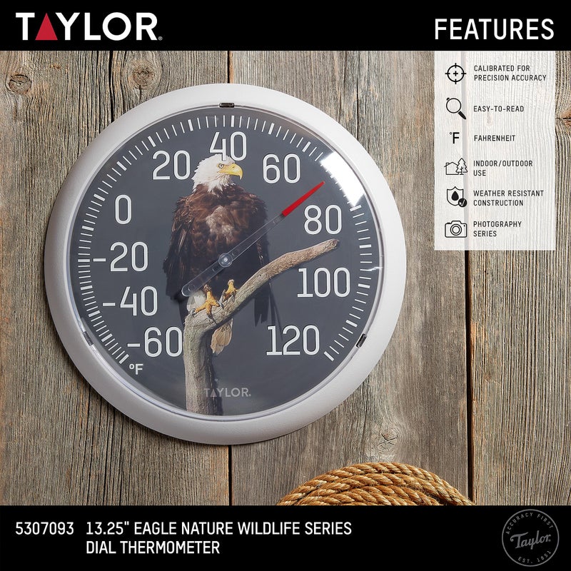 Taylor Nature Series Eagle Indoor Outdoor Dial Thermometer, Easy to Read Wall Decor for Patio, Pool, Yard, Garden or Garage, 13.25 Inch, Gray Bezel - Image 2