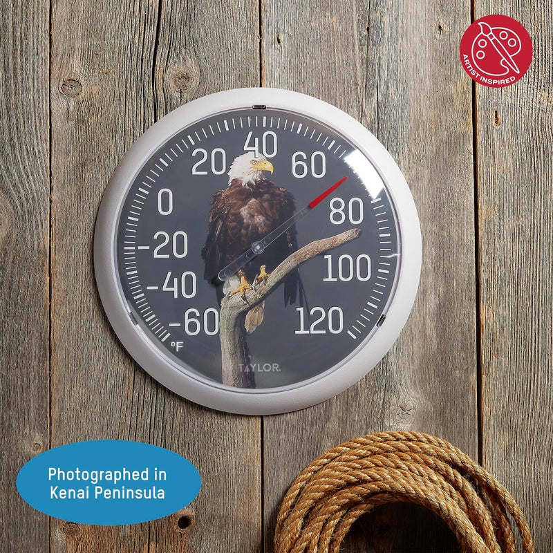 Taylor Nature Series Eagle Indoor Outdoor Dial Thermometer, Easy to Read Wall Decor for Patio, Pool, Yard, Garden or Garage, 13.25 Inch, Gray Bezel - Image 3