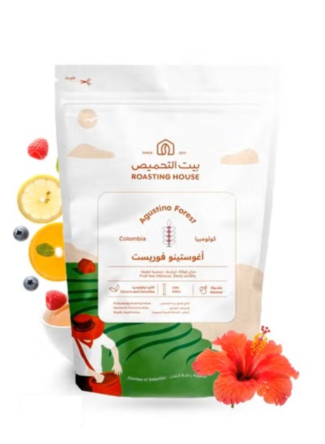 The Roasting House Specialty Coffee bean bags of coffee beans for Drip and Espresso Crops coffee v60 Set of 3 with cup - Image 2