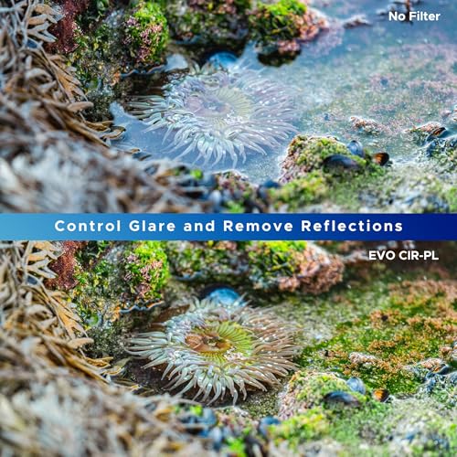Hoya EVO Antistatic 49mm Polarizing Filter — Premium Optical Glass w/ 16-Layer SMC, 3mm Low-Profile Aluminum Frame - Stain & Scratch Resistant Circular Polarizer to Enhance Clarity & Vibrant Colors - Image 4