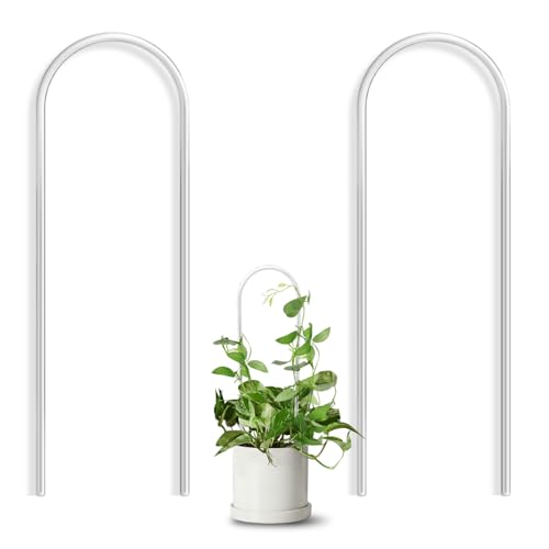 JETTIFY 2 Pack U-Shaped Clear Acrylic Trellis for Indoor Plants, Small Plant Trellis for Potted Plants Climbing Plants, Plant Support Hoya Trellis for Vine Ivy Hoya Indoor Outdoor - Image 1