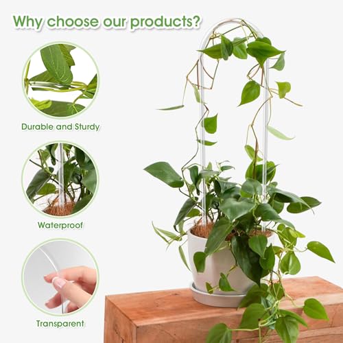 JETTIFY 2 Pack U-Shaped Clear Acrylic Trellis for Indoor Plants, Small Plant Trellis for Potted Plants Climbing Plants, Plant Support Hoya Trellis for Vine Ivy Hoya Indoor Outdoor - Image 3