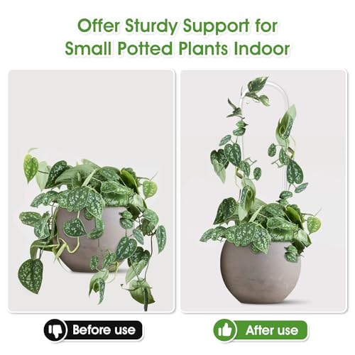 JETTIFY 2 Pack U-Shaped Clear Acrylic Trellis for Indoor Plants, Small Plant Trellis for Potted Plants Climbing Plants, Plant Support Hoya Trellis for Vine Ivy Hoya Indoor Outdoor - Image 2