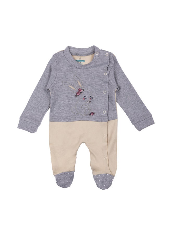 Babies Basic 100% Cotton Printed Long Sleeves Sleepsuit With Feet Covering For Babies - Image 1
