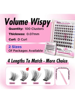 Self Adhensive Lash Clusters 100Pcs Lash Clusters Kit D Curl No Glue Needed Eyelashes 10-16Mm Eyelash Clusters With Lash Tweezers (603 100B Kit) - pzsku/ZC20AA9265B6CD8D9E8C4Z/45/_/1733730036/15fadfed-de95-42ec-9847-f9ab80077448