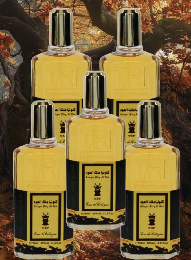 في آي بي 5 قطع كلونيا ملك العود 250مل - Image 1