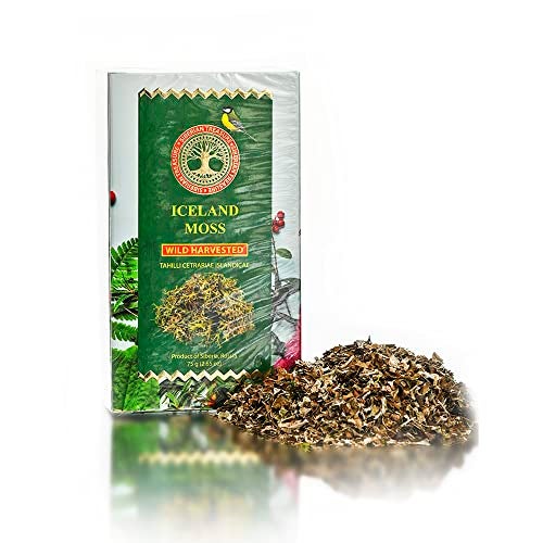 Siberian Treasure Iceland Moss Wild Harvested 265 OZ 75 Grams Herbal Tea Cetraria islandica - Image 1