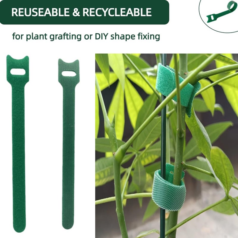 CHZKVOY, Green, Reusable, 100PCS, 6 - Inch Adjustable Anti - Slip Nylon Plant Ties & Straps Featuring Hook and Loop Fasteners - Optimal for Climbing Plants Support and Christmas Garland Ties - Image 5