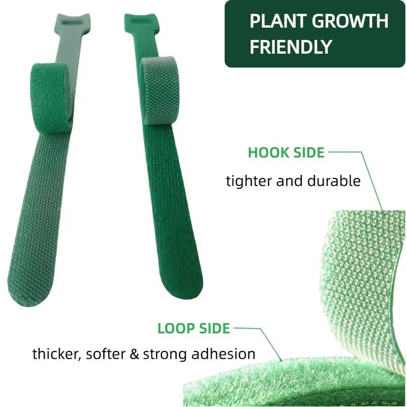 CHZKVOY, Green, Reusable, 100PCS, 6 - Inch Adjustable Anti - Slip Nylon Plant Ties & Straps Featuring Hook and Loop Fasteners - Optimal for Climbing Plants Support and Christmas Garland Ties - Image 2