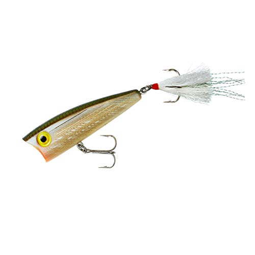 Rebel Lures Pop-R Topwater Popper Fishing Lure, Tennessee Shad, Pop-R (1/4 oz) - Image 2