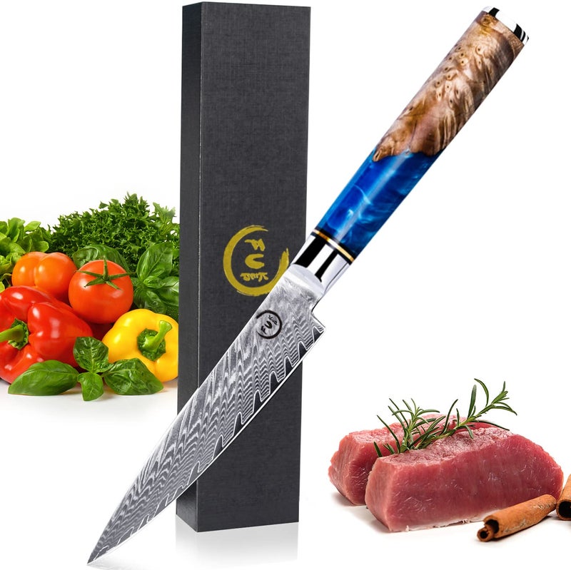 Fukep Kitchen Utility Knife 5 Inch Paring Knife Sharpedged Damascus Paring knife VG10 Core Steel With 66 Layers High Carbon Steel  Ergonomic Blue Handle  Small Fruit Knife