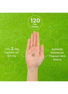 DEAL SUPPLEMENT Mullein Leaf Extract 20,000Mg, 240 Veggie Capsules  - Image 5