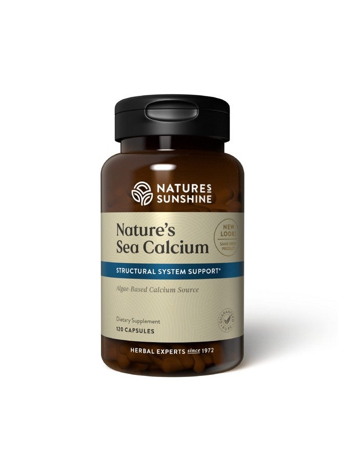 Nature's Sunshine Sea Calcium 120 Capsules  Promotes Bone And Teeth Health Offsets Body Acidity And Helps Maintain Ph Levels - Image 2