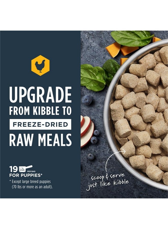 غريزة وجبات إنستينكت بابي النيئة المجففة بالتجميد، طعام كلاب جاف طبيعي، خالي من الحبوب - دجاج بدون قفص، كيس 9.5 أونصة - Image 2