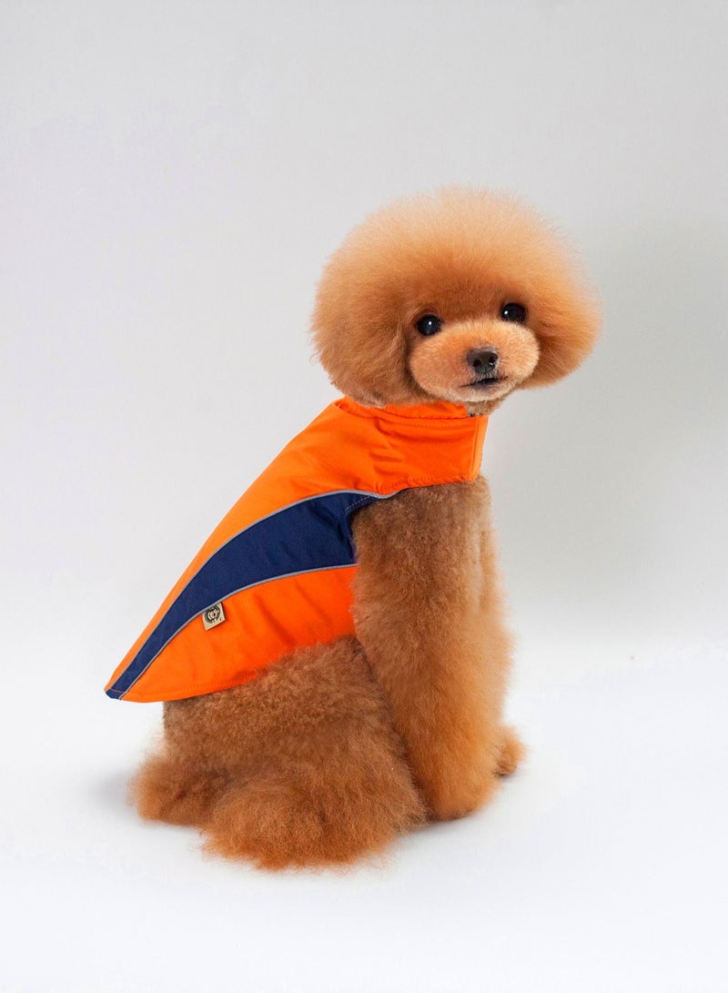 Loquat A pet dog wears a coat and a hat Multicolour - Image 2