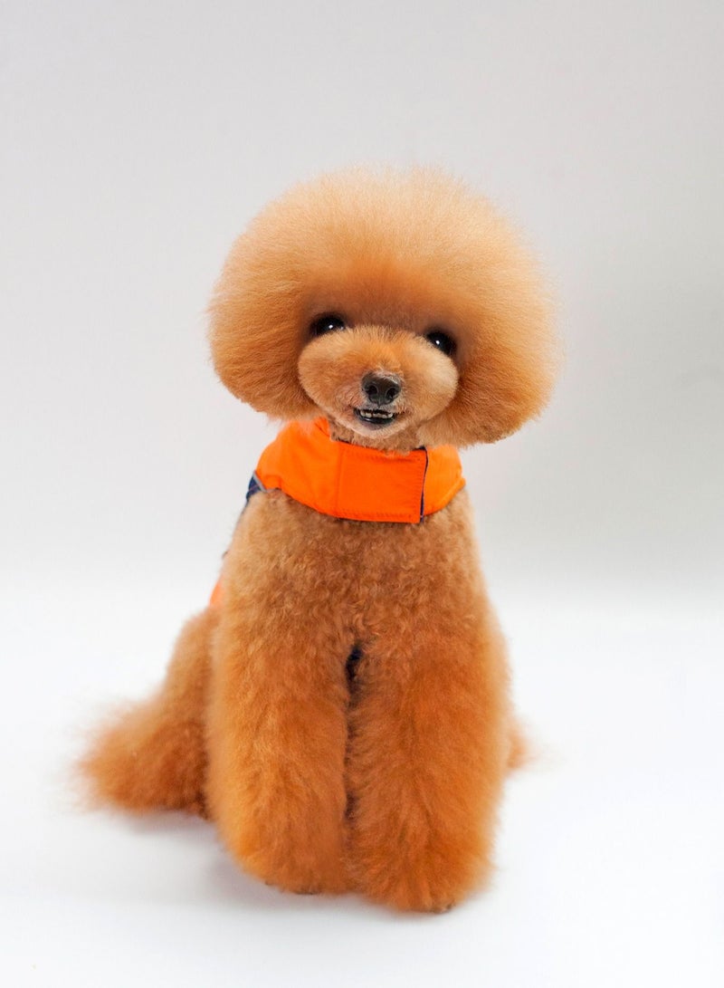 Loquat A pet dog wears a coat and a hat Multicolour - Image 1