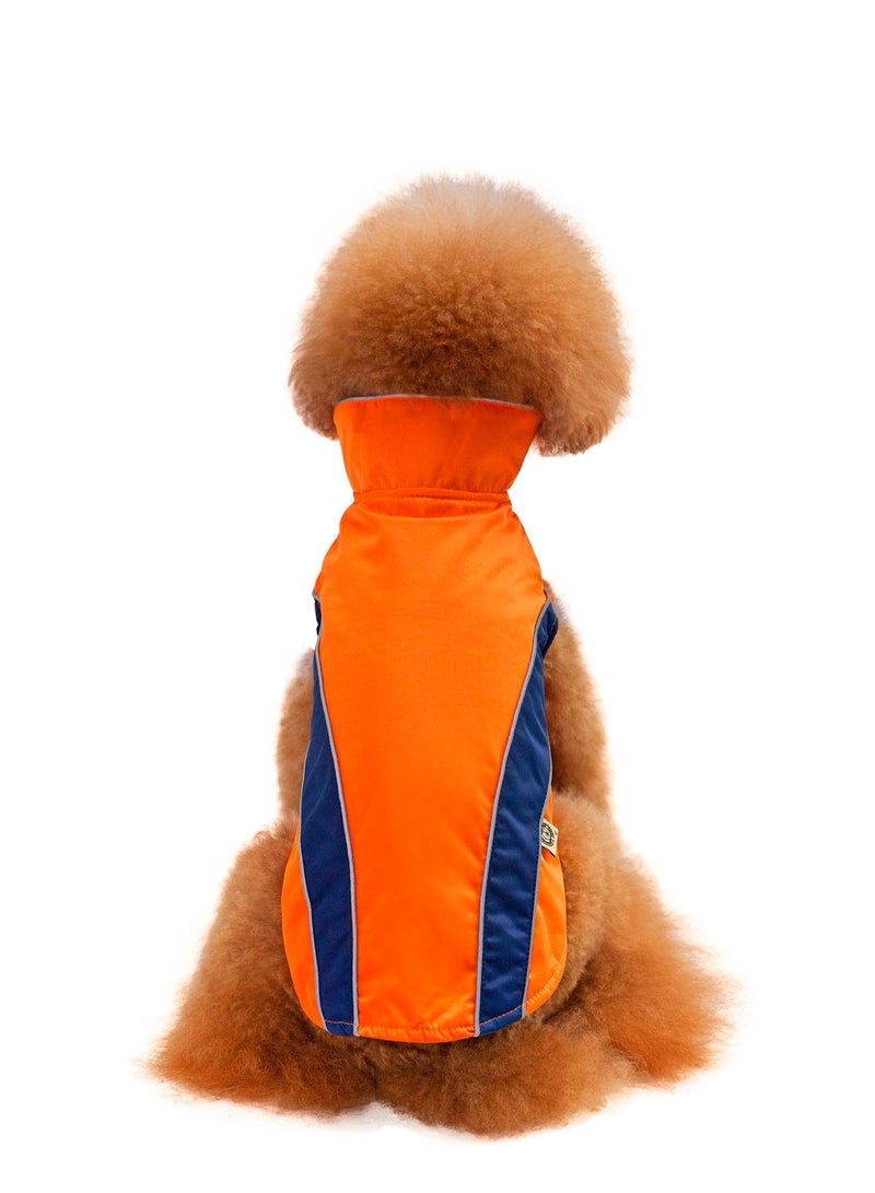 Loquat A pet dog wears a coat and a hat Multicolour - Image 3