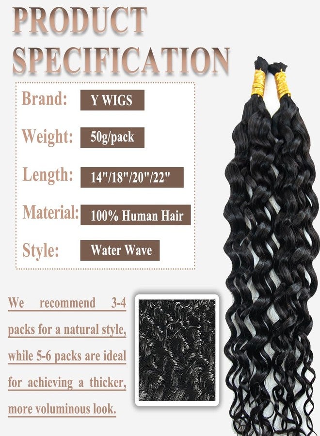 Y WIGS YWIGS Water Wave Human Braiding Hair for Boho Braids 50G Bulk Human Hair for Braiding No Weft Virgin Human Hair 20inch - Image 2