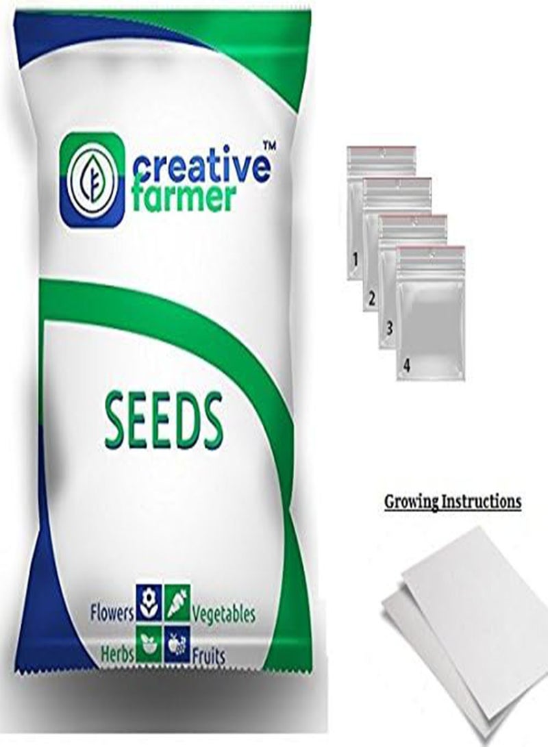GGOOT Flower Seeds : Pouch Nemesia Seeds for Terrace Garden Garden for Flowers (1 Packet) Garden Plant Seeds  - Image 4