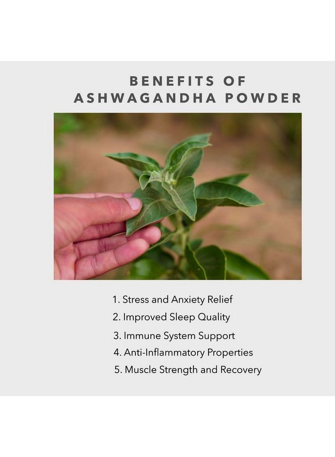 CARMEL ORGANICS Carmel Organics Combo of Ashwagandha, Shatavari and Mucuna Powder (100 Gram Each) | Jaivik Bharat Certified | Non-GMO | No Added Preservatives  - Image 3