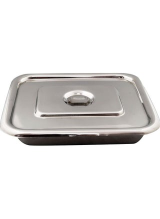 Instrument Tray With Lid 8 x 10 inches Medium - pzsku/ZC21440A034C03C34222EZ/45/_/1691069577/f8917ee4-6a85-4506-8295-206ec668e3de