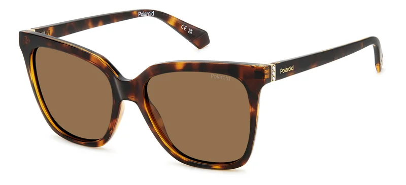 Polaroid Square Sunglasses Frames