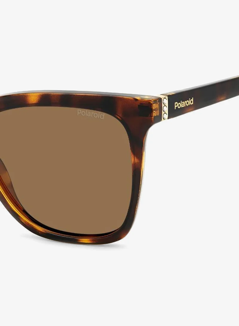 Polaroid  Square Sunglasses Frames  | Best Price UAE