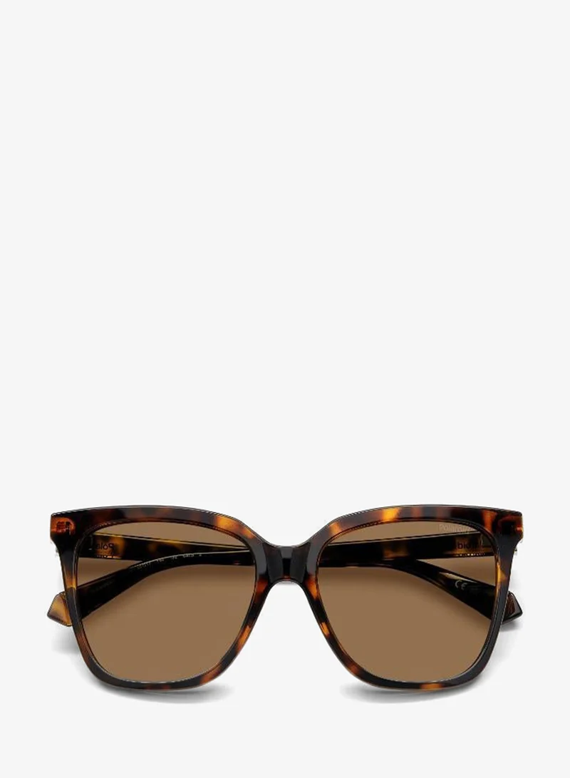 Polaroid  Square Sunglasses Frames  | Best Price UAE