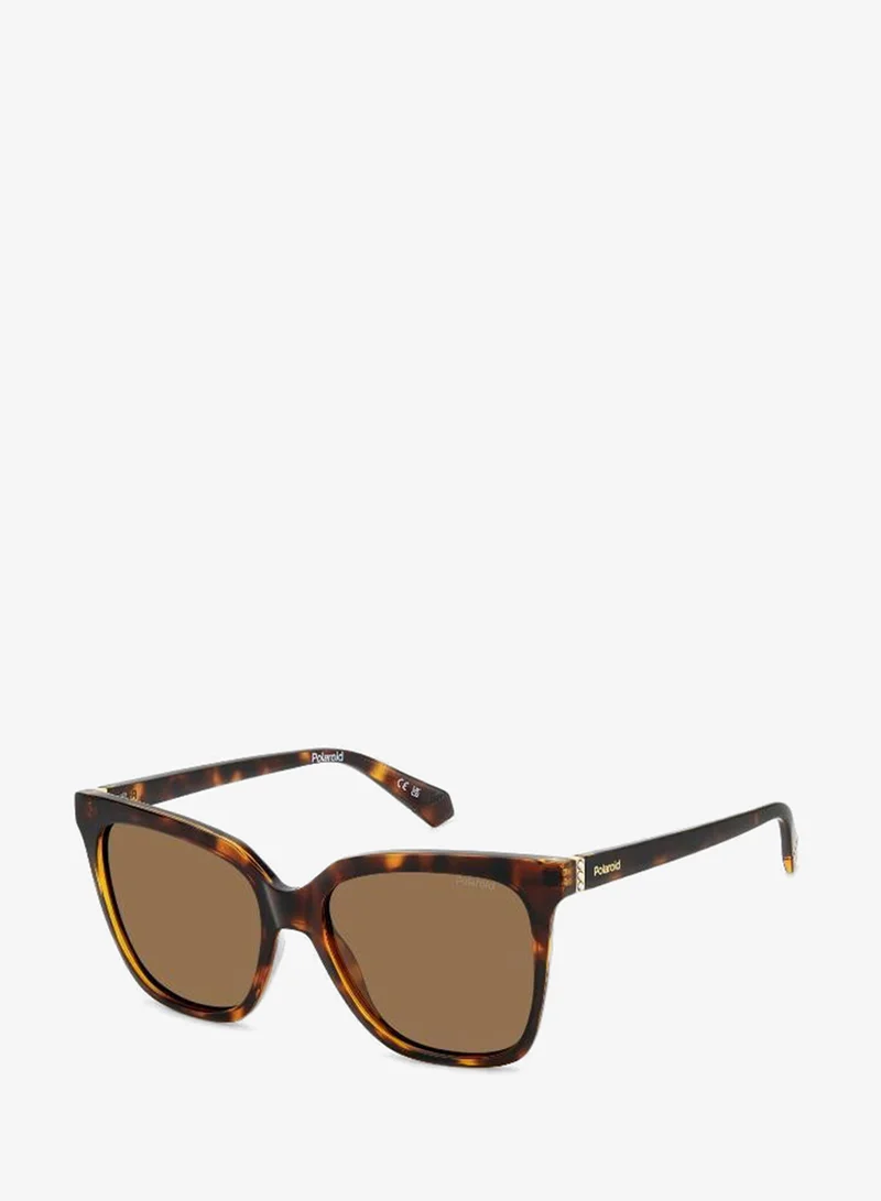 Polaroid  Square Sunglasses Frames  | Best Price UAE