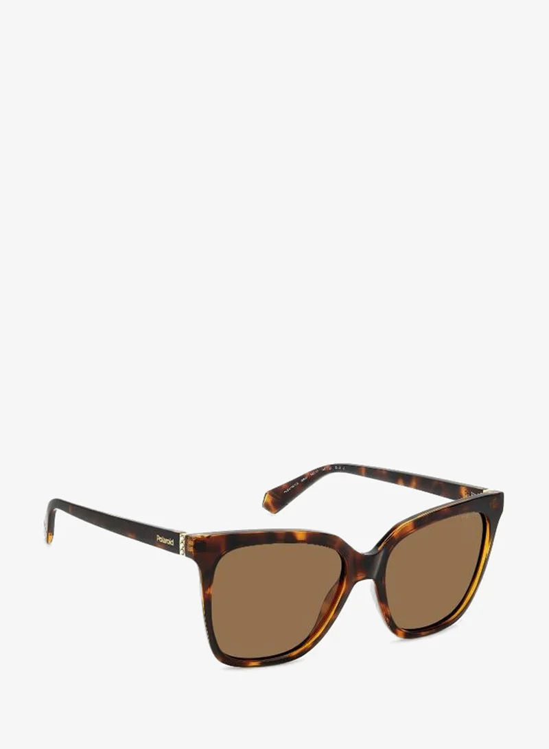 Polaroid  Square Sunglasses Frames  | Best Price UAE