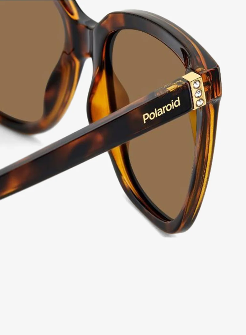 Polaroid  Square Sunglasses Frames  | Best Price UAE