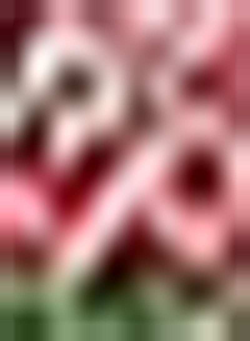 جي جوت 5 قطعة Dubbele Tulpenbollen Ingemaakte Heirloom Bloembollen Prachtige Snijbloemen Versieren Uw Huis Creëren Uniek Natuurlijk Landschap - Image 2