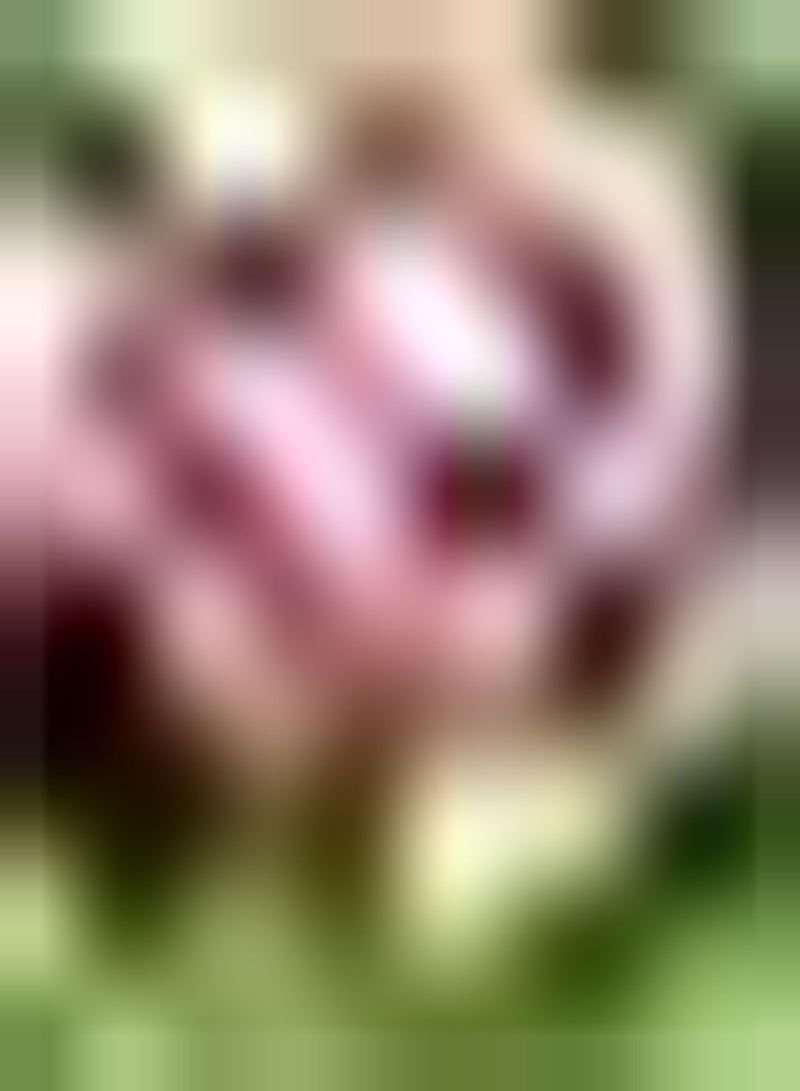 جي جوت 5 قطعة Dubbele Tulpenbollen Ingemaakte Heirloom Bloembollen Prachtige Snijbloemen Versieren Uw Huis Creëren Uniek Natuurlijk Landschap - Image 1