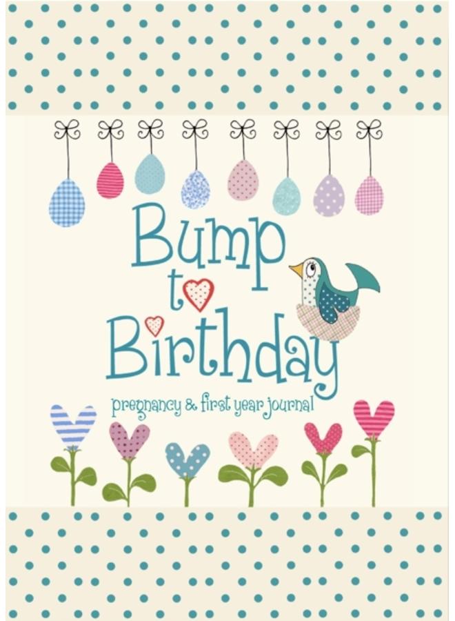 Bump to Birthday, Pregnancy & First Year Journal 