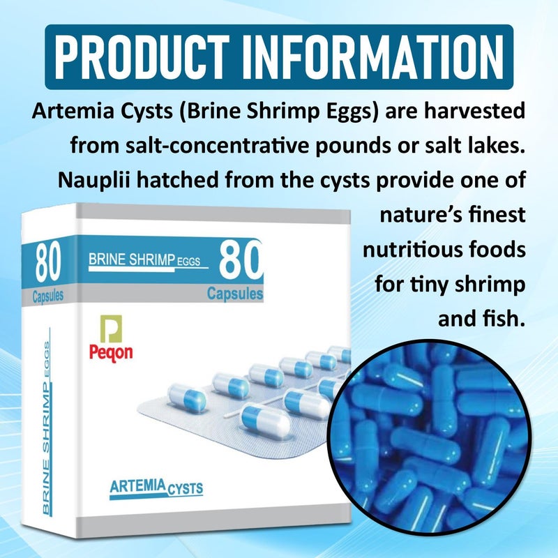 VAYINATO Peqon Artemia Cysts (Brine Shrimp Eggs) - 80 Capsule With 90% Hatching Rate - Image 2