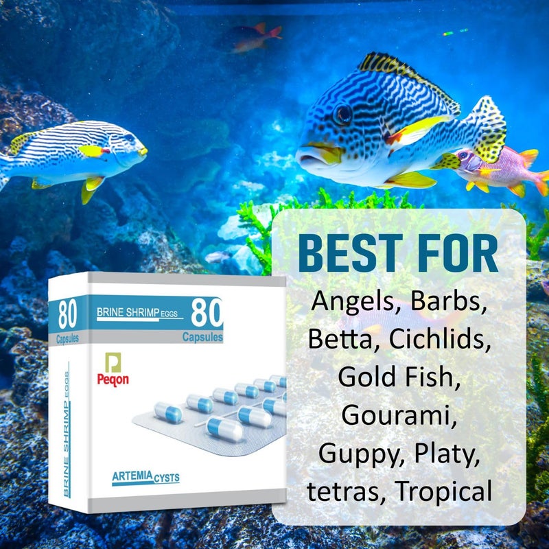 VAYINATO Peqon Artemia Cysts (Brine Shrimp Eggs) - 80 Capsule With 90% Hatching Rate - Image 5