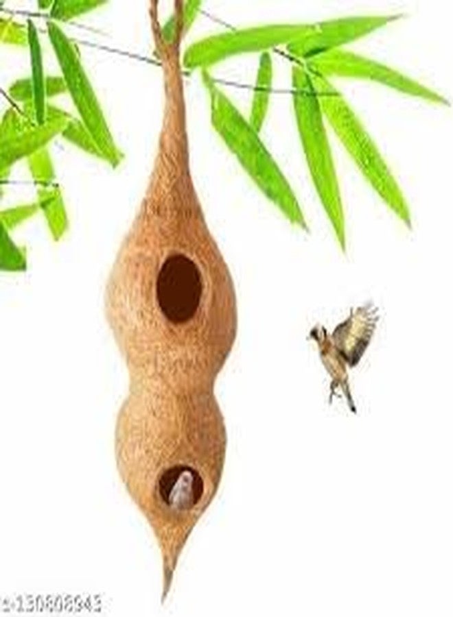 عش طيور مزدوج الباب من AVIANS مع فتحة تعليق، مصنوع من ألياف جوز الهند الطبيعية، مع خيط سيزال بطول 5 أمتار لعش الطيور بالإضافة إلى كونه منتجًا زخرفيًا كبيرًا بطول 60 سم، مجموعة من قطعة واحدة - Image 3