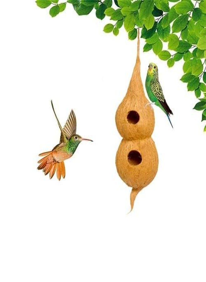 عش طيور مزدوج الباب من AVIANS مع فتحة تعليق، مصنوع من ألياف جوز الهند الطبيعية، مع خيط سيزال بطول 5 أمتار لعش الطيور بالإضافة إلى كونه منتجًا زخرفيًا كبيرًا بطول 60 سم، مجموعة من قطعة واحدة - Image 4