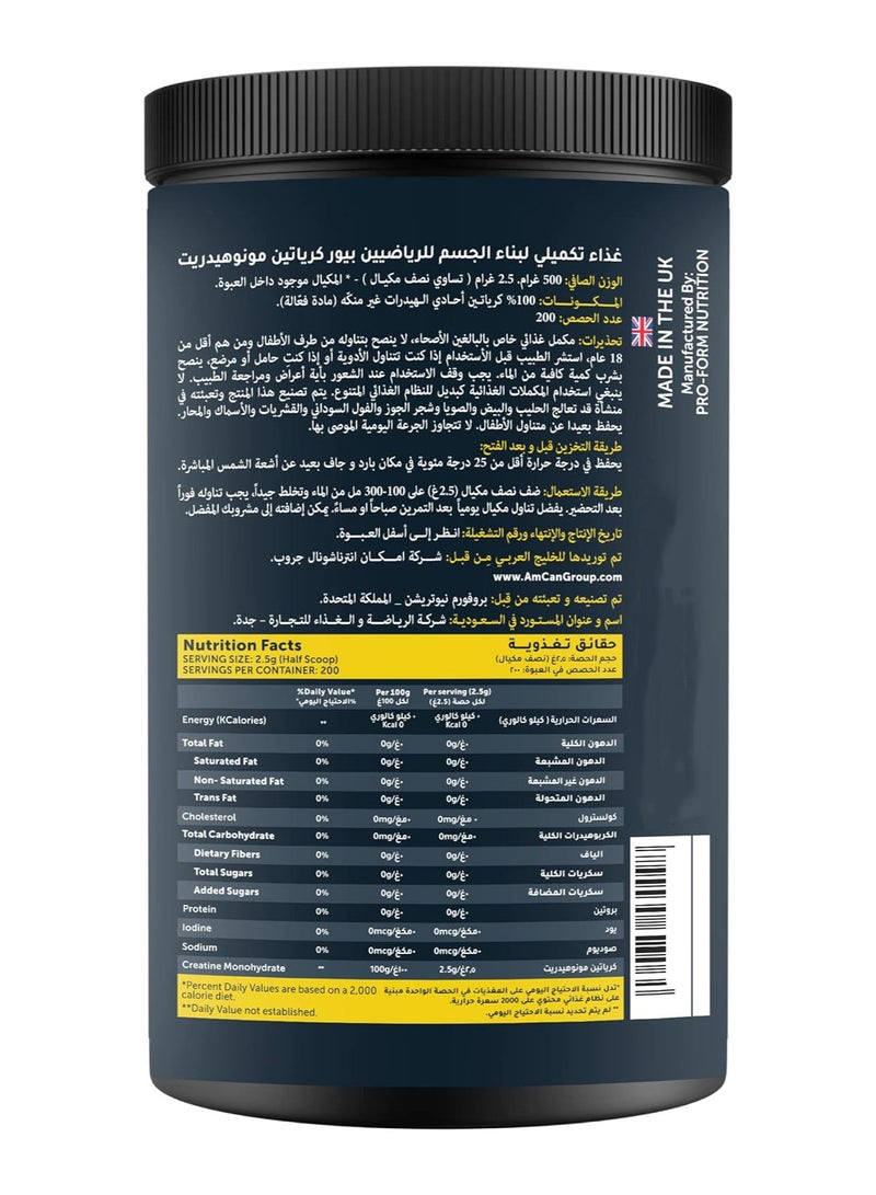 Basix Pure Creatine Monohydrate - Unflavored - (500 g) - Image 2
