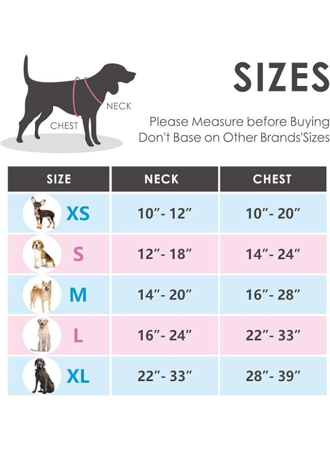 PHOEPET No Pull Dog Harness Medium Reflective Front Clip Vest with Handle, Adjustable 2 Metal Rings 3 Buckles, Easy to Put on & Take Off (M, Green) - Image 2